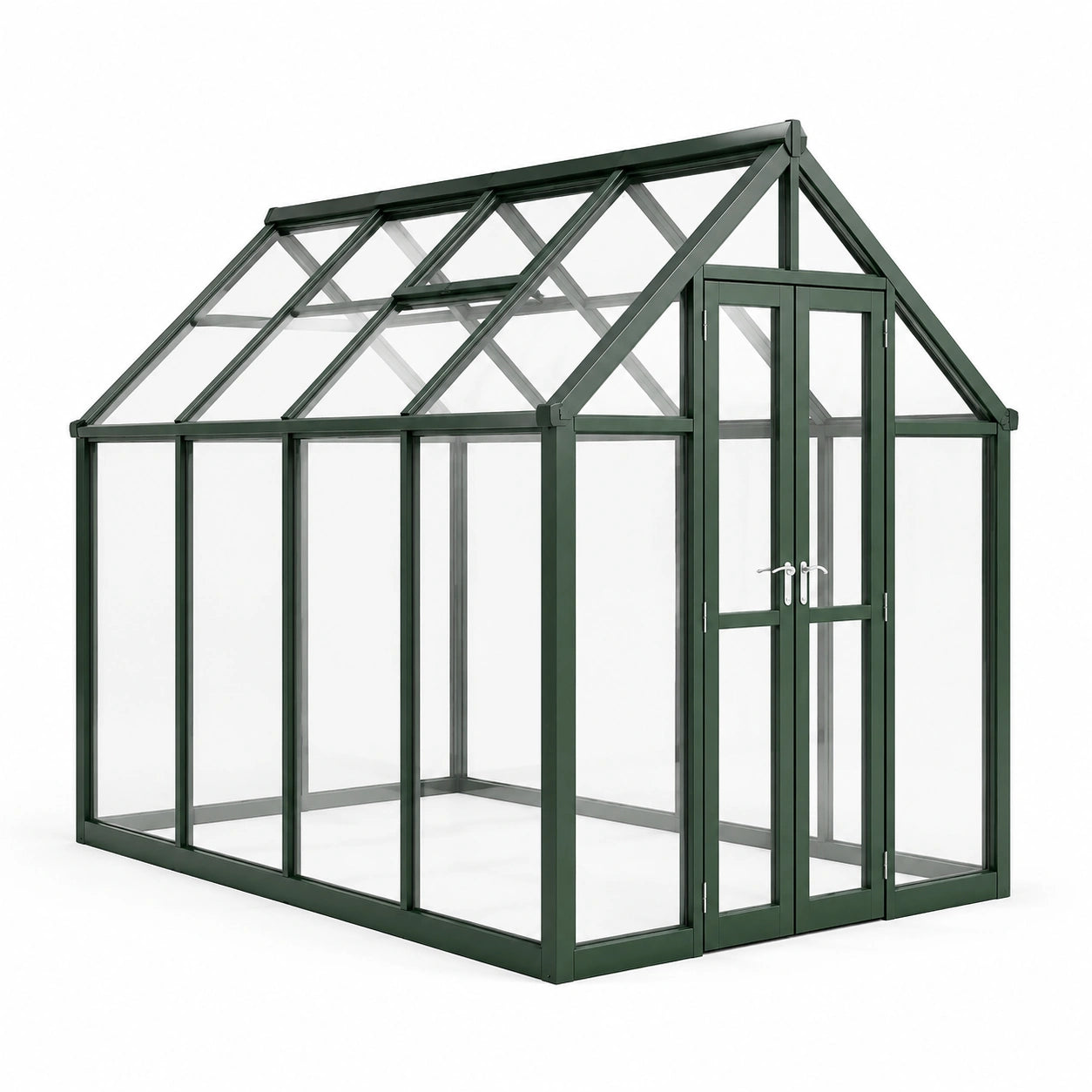 Serre de jardin en aluminium et verre trempé 300x200x250 cm vert